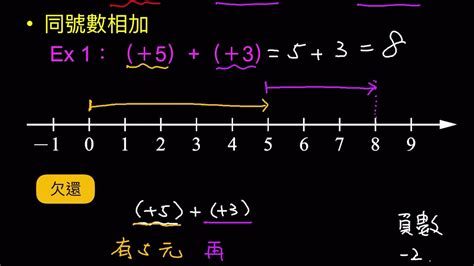 同號數是什麼